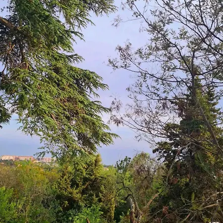 Maisonnette Saint Clair, La Vie Est Belle! בית נופש Sète