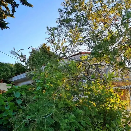 Maisonnette Saint Clair, La Vie Est Belle! *